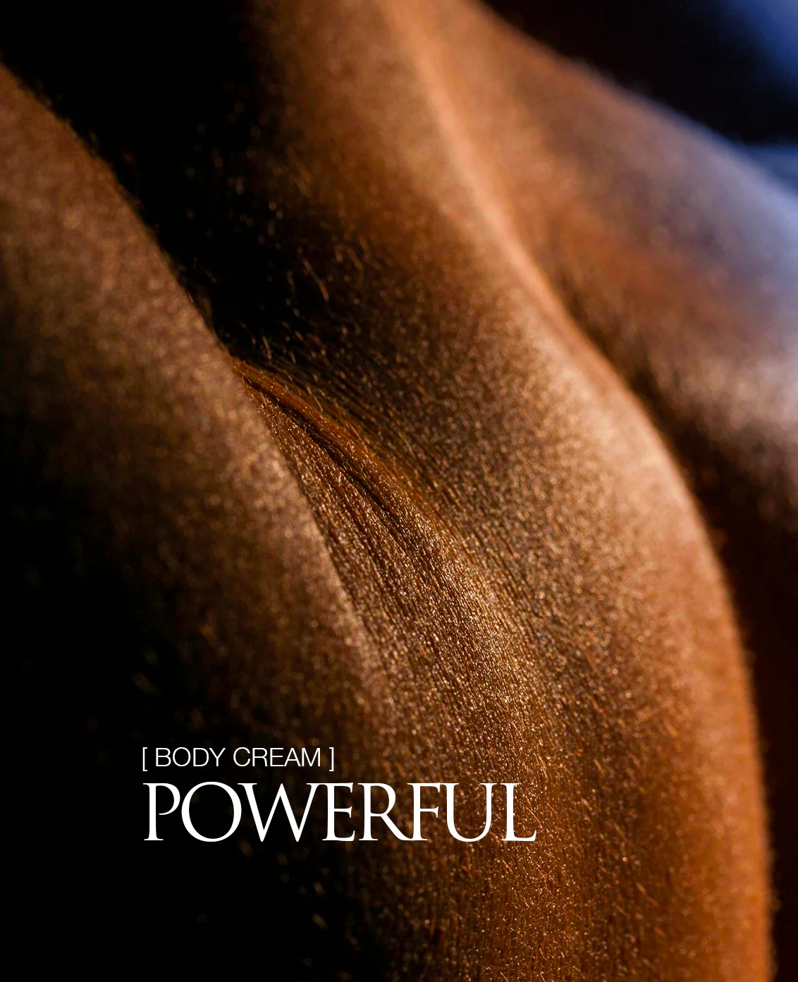OUD FOR GREATNESS - Image 5